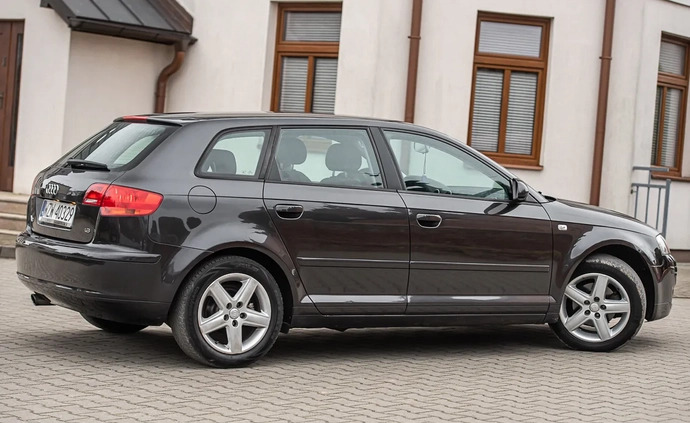Audi A3 cena 22900 przebieg: 237000, rok produkcji 2006 z Bełchatów małe 211